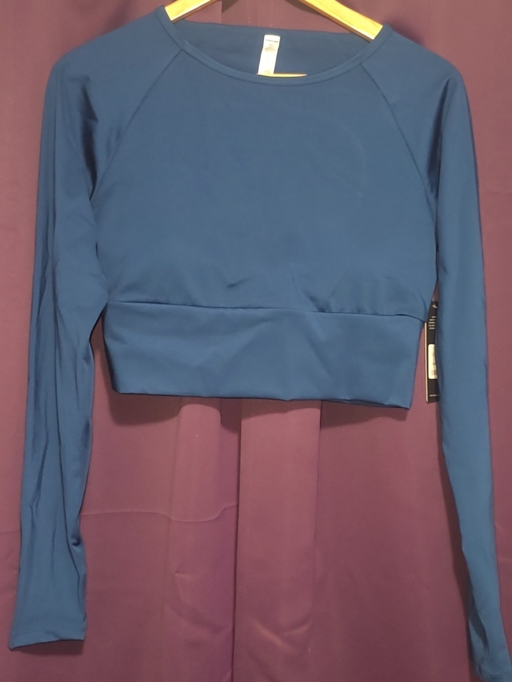 Fashion Nova Blue Long Sleeve Cropped Top